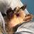 Von Mitchell's profile image