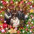 Maria Bush's profile image