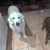 Joyce Dailey Antoni's profile image
