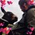 Rob Foellinger II's profile image