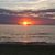 Donna Battistelli Wile's profile image
