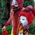 Chris Harrison's profile image