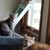John Rausch's profile image