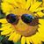 Al Marko's profile image