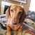 Sue 'Casatelli' Kramperth's profile image