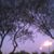 Kathy Peretto's profile image