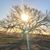 Sherry Hanza's profile image