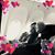 Ann Daly Blood's profile image