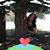 Rosalie Olguin's profile image