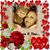 Pamela McChessney Musselman's profile image