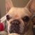 Chrissy Corn's profile image