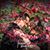 Emily Jones Gmerek's profile image