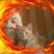 James Quick's profile image