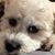 Marcia Keaney's profile image