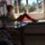 Rebecca Dowling's profile image