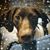 Beth Douglas Cox's profile image