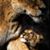 Jessica Jordan Mayorga's profile image