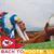 David Bowen's profile image