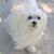 Linda Gavallas's profile image