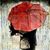Patoja Love's profile image