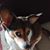 Laura Phillips's profile image
