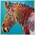 Janet Hamilton Rubleske's profile image