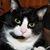Traci Furtado's profile image