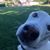 Mark Syfert's profile image