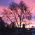 Debbie Burton Zielinski's profile image