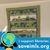 Diane Lerch Kurtz's profile image