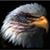 Linda Smith Erickson's profile image