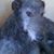 Ann Crawford's profile image