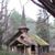 Bitsy Wood's profile image