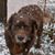 Kimberly PedersenBrown's profile image