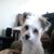 Joyce Isaacs's profile image
