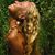 Teresa Jordan's profile image