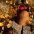 Cody Caires's profile image