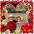 Gordon Dunaway's profile image