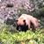Michelle Byron Cunha's profile image