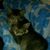 Terry Herrington's profile image