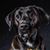 Kathleen Beckley's profile image