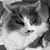 Kate Elizabeth's profile image