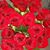 Linda Repas Spahn's profile image