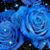 Vickie Rhodes's profile image