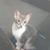 Becky Moosekian Nightwine's profile image