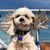 Beverly Fencil's profile image