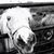 Angie Tollette's profile image