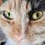 Carrie Dendas Arbuckle's profile image