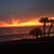 Pati Hewitt Pressler's profile image