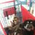Sherrie Feger's profile image